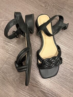 Black Braided Strap Women's Sandals with Ankle Buckle